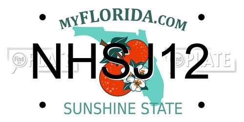 NHSJ12 Florida License Plate