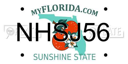 NHSJ56 Florida License Plate