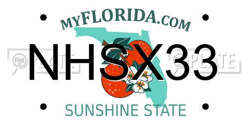 NHSX33 Florida License Plate