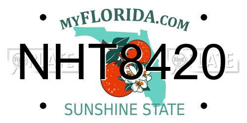 NHT8420 Florida License Plate