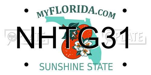 NHTG31 Florida License Plate