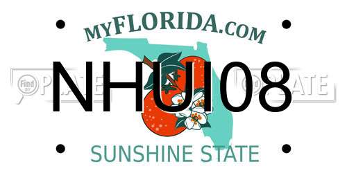 NHUI08 Florida License Plate