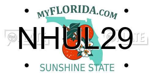 NHUL29 Florida License Plate