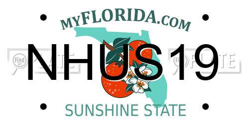 NHUS19 Florida License Plate