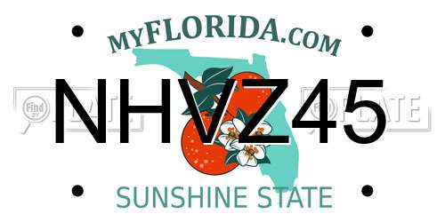 NHVZ45 Florida License Plate