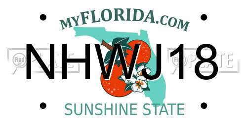 NHWJ18 Florida License Plate