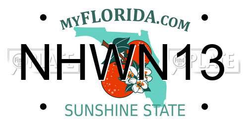 NHWN13 Florida License Plate