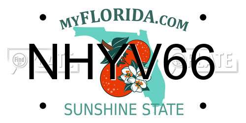 NHYV66 Florida License Plate