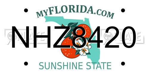 NHZ8420 Florida License Plate