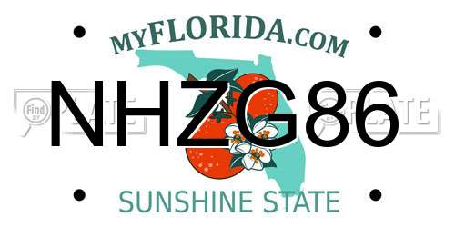 NHZG86 Florida License Plate