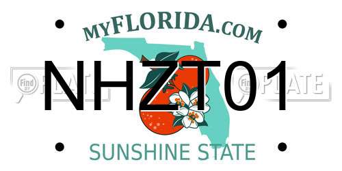 NHZT01 Florida License Plate