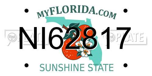 NI62817 Florida License Plate