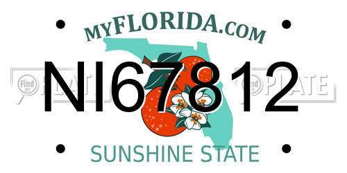 NI67812 Florida License Plate