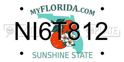 NI6T812 Florida License Plate