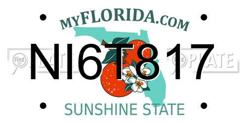 NI6T817 Florida License Plate