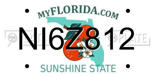NI6Z812 Florida License Plate