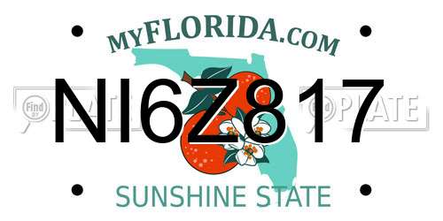 NI6Z817 Florida License Plate