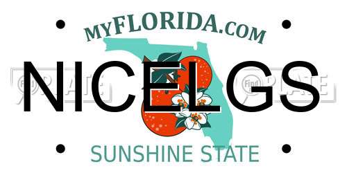 NICELGS Florida License Plate