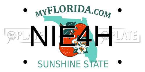 NIE4H Florida License Plate