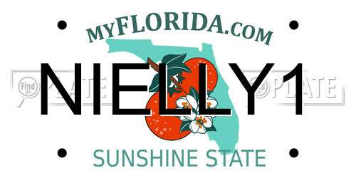 NIELLY1 Florida License Plate