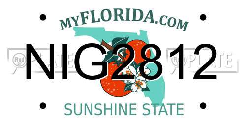 NIG2812 Florida License Plate