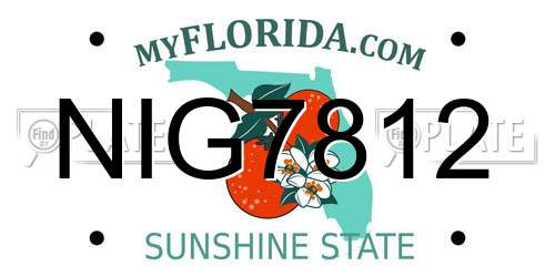 NIG7812 Florida License Plate