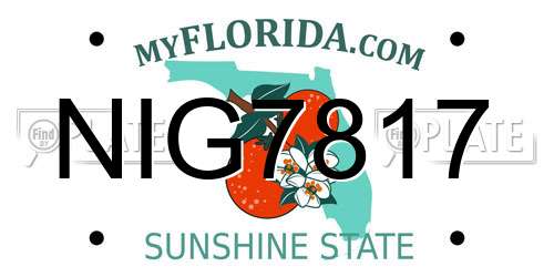 NIG7817 Florida License Plate