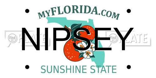 NIPSEY Florida License Plate