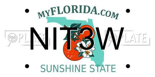 NIT3W Florida License Plate