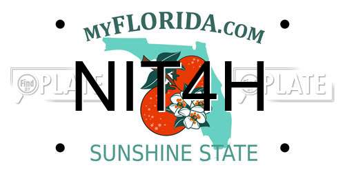 NIT4H Florida License Plate
