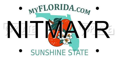 NITMAYR Florida License Plate