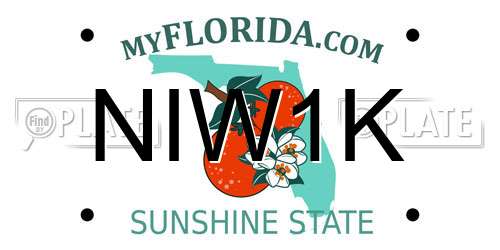 NIW1K Florida License Plate