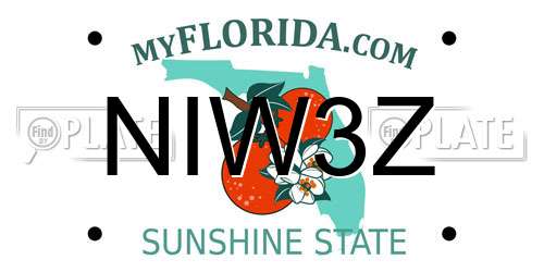 NIW3Z Florida License Plate