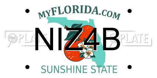 NIZ4B Florida License Plate