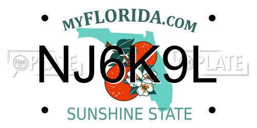 NJ6K9L Florida License Plate