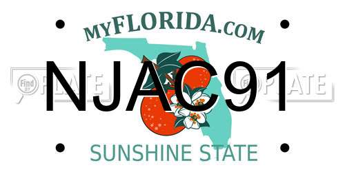NJAC91 Florida License Plate