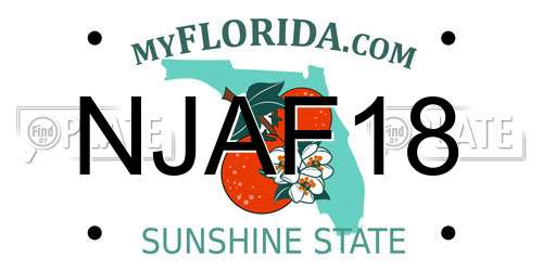 NJAF18 Florida License Plate