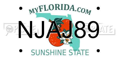 NJAJ89 Florida License Plate