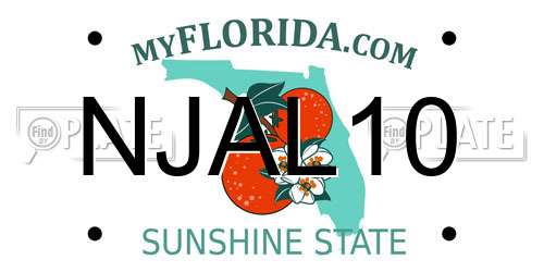 NJAL10 Florida License Plate