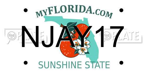 NJAY17 Florida License Plate