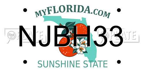 NJBH33 Florida License Plate