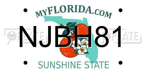NJBH81 Florida License Plate