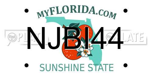 NJBI44 Florida License Plate