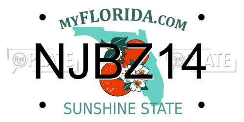 NJBZ14 Florida License Plate