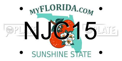 NJC15 Florida License Plate
