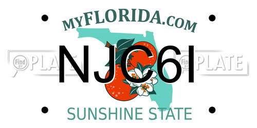 NJC6I Florida License Plate