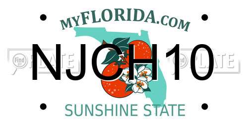 NJCH10 Florida License Plate