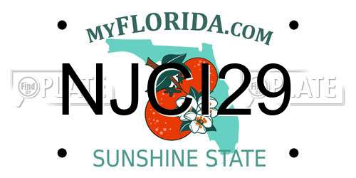 NJCI29 Florida License Plate