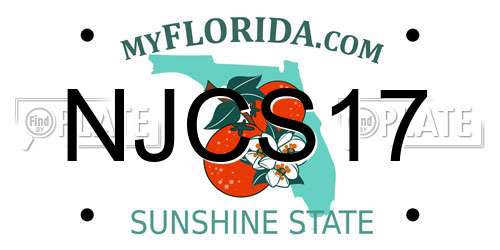 NJCS17 Florida License Plate