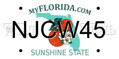 NJCW45 Florida License Plate